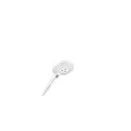 HG Handbrause Raindance Select S 120 mattweiss