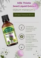 MARIENDISTEL Silybum marianum L. (Tropfen) Tinktur 50 ml