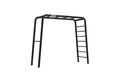Berg Klettergerüst BERG PlayBase M Klettergerüst Schaukelgestell + Swing set