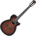 Ibanez AEG74N-MHS Westerngitarre Mahogany Sunburst Nylon Saiten Preamp Cutaway