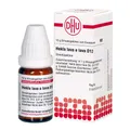 Hekla lava e lava D12 Globuli 10 g