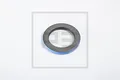 PE Automotive Wellendichtring 100.440-00A