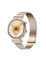 Huawei Watch GT 6 41mm - Gold