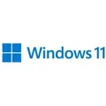 MICROSOFT - Windows 11 Pro for Workstations - Lizenz - 1 Lizenz