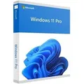 Microsoft Windows 11 Professional for Workstations Deutsch (Online-Aktivierung)