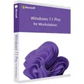 Microsoft Windows 11 Pro for Workstations