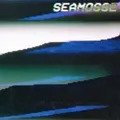 Sea Moss - SEAMOSS2 LP - Vinyl Record - E600z