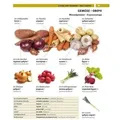 PONS Bildwörterbuch Ukrainisch