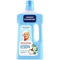 Meister Proper EUKALYPTUS, MIT NATRON Allzweckreiniger 1 l, 1 St.