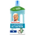 Meister Proper Natron 1L