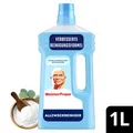 MEISTER PROPER Natron 1L