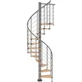 Dolle Spindeltreppe Oslo Ø 120 cm, 11 Stufen Buche GH bis 276 cm Grau FSC®