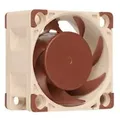 Noctua NF-A4x20 PWM - Gehäuselüfter - 40 mm