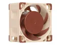 Noctua NF-A4x20 PWM - Gehäuselüfter - 40 mm