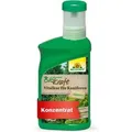 Neudorff BioKraft Vitalkur für Koniferen 300 ml