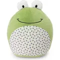 NICI Kuscheltier Frosch Fridolin Frog 25x30cm - grün - Weiches Plüschtier – niedliches Stofftier zum Kuscheln & Spielen – tolle Geschenkidee ... - Grün