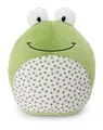 Nici 62285 Kuscheltier Frosch Fridolin Frog 25x30cm | Deutsch (2025) | 62285
