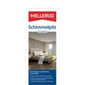Schimmelpilz Schnelltest