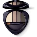 Dr. Hauschka Eye & Brow (01 Stone) (HAU420005944)