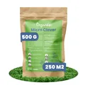 Microclover Lawn – Reiner Kleesamen (500 g für 250 m2)