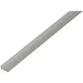 Kantenschutzprofil, Abgeschrägt,alu Silber Elox.,lxbxhxs 1000 X 14 X 10 X 1,5 Mm - Alberts