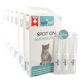 OptiPet Spot On Pipetten für Katzen 36x1ml - Hochwirksame Tropfen gegen Milben, Flöhe, Zecken & Läuse - Parasiten Abwehr Schutz bis zu 144 Wochen - Flohschutz, Zeckenschutz, Zeckenmittel für Katzen