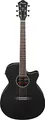 Ibanez AEG7MH-WK