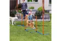 PawHut Agility-Hürde mit Slalomstangen, Erdspießen, Tragetasche, PE, Oxford-Gewebe, Agility Set Hunde (3-tlg) für alle Hundegrößen, für drinnen und draußen, Orange
