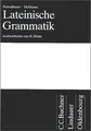Lateinische Grammatik B von Rubenbauer, Hans, Hofmann, J... | Buch | Zustand gut
