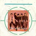 The wild boys / (I'm looking for) cracks in the pavement 1984 7 " 45 t