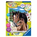 Ravensburger Malen-nach-Zahlen Pferd mit Fohlen mehrfarbig