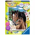 Ravensburger Malen Nach Zahlen Pferd mit Fohlen Mal Set Malvorlage Bild Kinder