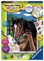 Ravensburger Malen nach Zahlen Classic Serie D Pferde Pferd mit Fohlen 28326