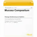 MUCOSA compositum Ampullen 10 St PZN04313575