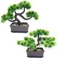 Künstliche Bonsai Zeder Kiefer Deko Pflanze 10x8x3