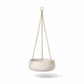 Finestgreen Hängende Pflanzschale Eileen Grau | Hängende Pflanzschale zum bepflanzen | Urban Gardening Pflanzenampel Betonoptik (S Ø:24 H:9 cm) Pottery Pots
