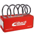 EIBACH F2067102 Fahrwerksfeder Spiralfedern, Spiralfeder, Schraubenfeder Hinten
