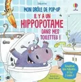 Il y a un hippopotame dans mes toilettes ! - Mon dr... | Buch | Zustand sehr gut