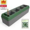 BioGreen Kräuterbeet "PROVENCE" für die Fensterbank mit 4 herausnehmbaren Töpfen