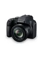 Panasonic Lumix DC-FZ82D - digital camera