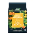 Westland Zitruspflanzen Erde, 8 l – Erde mit Tongranulat für gesunde Zitronenpflanzen, Zitruserde zur optimalen Wasser- und Nährstoffversorgung