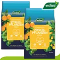 Westland 2 x8 l Torffreie Zitruserde Erde Garten Zitrone Orange Wachstum Seramis