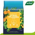 Westland 8 l Torffreie Zitruserde Erde Garten Zitrone Orange Wachstum Seramis