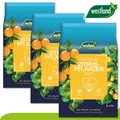 Westland 3 x8 l Torffreie Zitruserde Erde Garten Zitrone Orange Wachstum Seramis