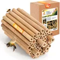 BEESI 100x Bambusröhrchen für Insektenhotel I 14 cm Länge I Füllmaterial Wildbienen Zubehör I Bienenhotel