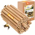 BEESI Bambusröhrchen für Insektenhotel I 14 cm Länge I Bambus für Bienenhotel