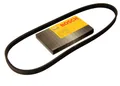 Bosch 1987947846 Keilrippenriemen