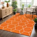 SANAT Wohnzimmerteppich – Pflegeleicht, für jeden Raum geeignet – Öko-Tex zertifizierter Flächenteppich – Trellis Muster, Orange, 140 x 200 cm