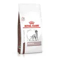 Royal Canin Hepatic Diätfutter Hund 12kg Trockenfutter Leberunterstützung