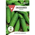 FRANKONIA Einlegegurke Diamant F1